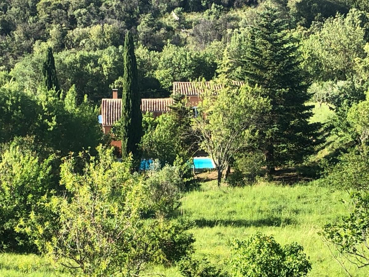 Le Mas Cevenol Villa Saint-Hilaire-de-Brethmas Dış mekan fotoğraf
