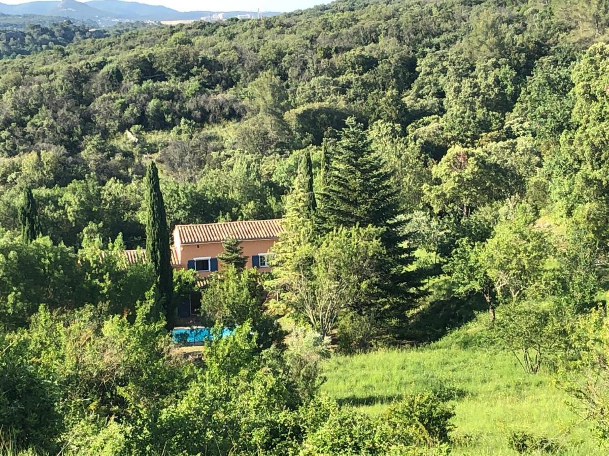 Le Mas Cevenol Villa Saint-Hilaire-de-Brethmas Dış mekan fotoğraf